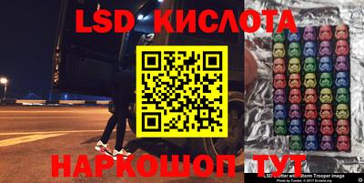 крисы Кунгур