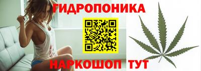 крисы Кунгур